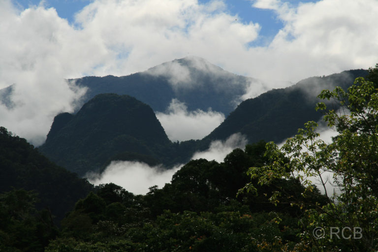 wolkenverhangene Berge, Mulu Nationalpark