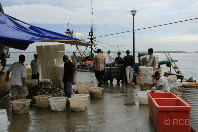 Sandakan, Fisch wird bei den Markthallen angeliefert