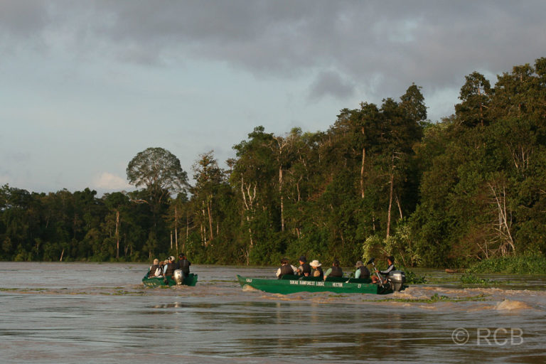 Boote auf dem Kinabatangan River