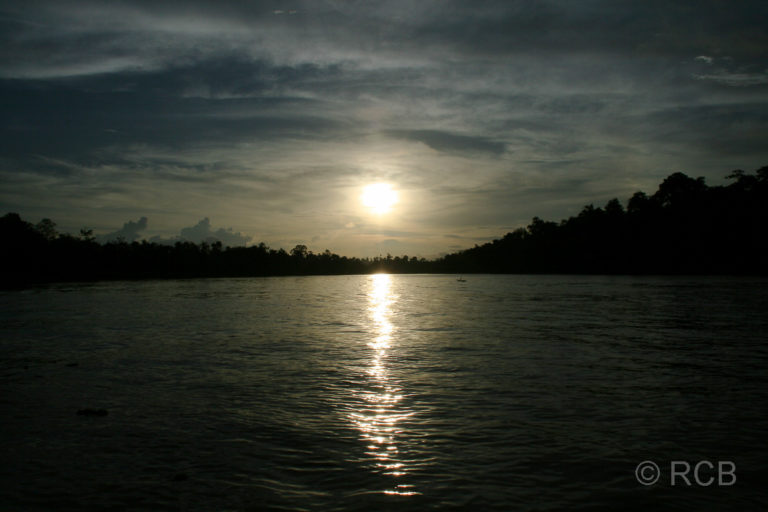 Sonnenuntergang auf dem Kinabatangan River