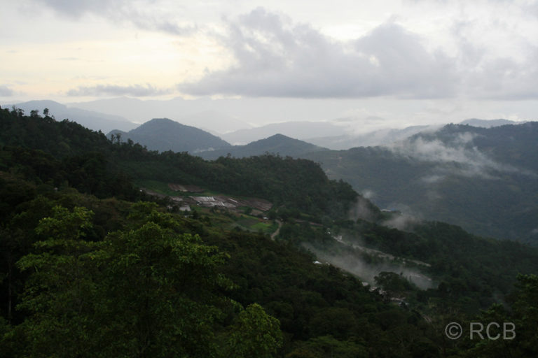 wolkenverhangene Berglandschaft im Kinabalu National Park