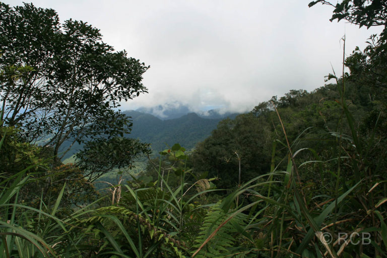 Aussicht vom Kiau View Trail, Kinabalu National Park