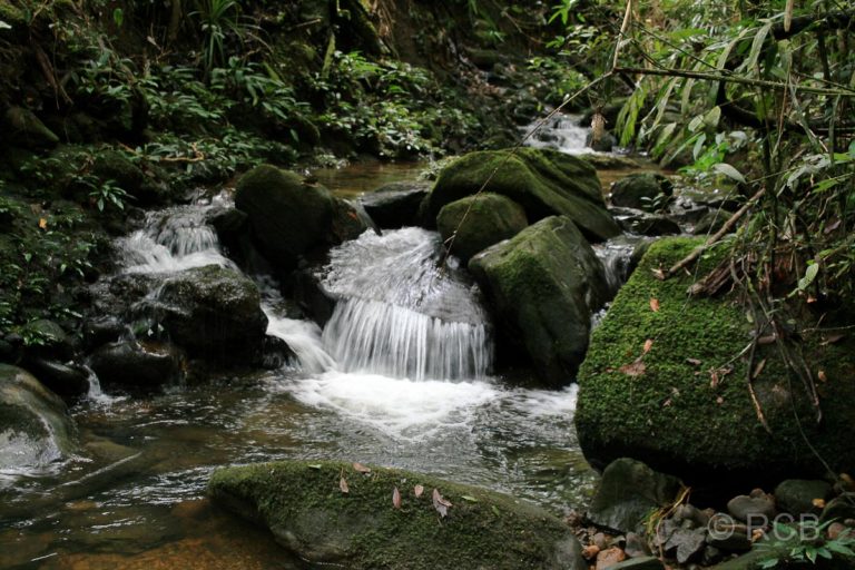 kleiner Wasserfall, Kinabalu National Park