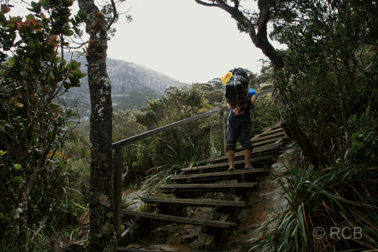 Träger beim Aufstieg zum Mt. Kinabalu