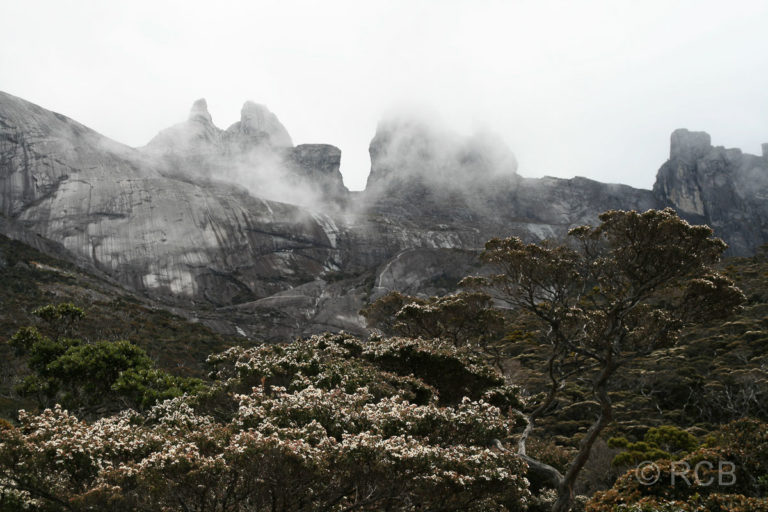 Blick zum Mt. Kinabalu mit den sog. Donkey's Ears