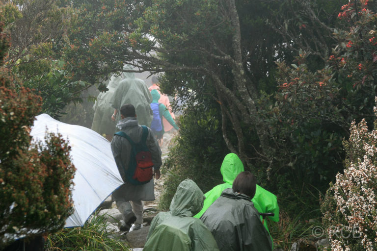 Wanderer in Regensachen beim Abstieg vom Mt. Kinabalu zurück ins Tal
