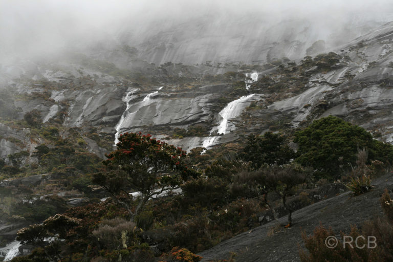 Granitwände des Mt. Kinabalu
