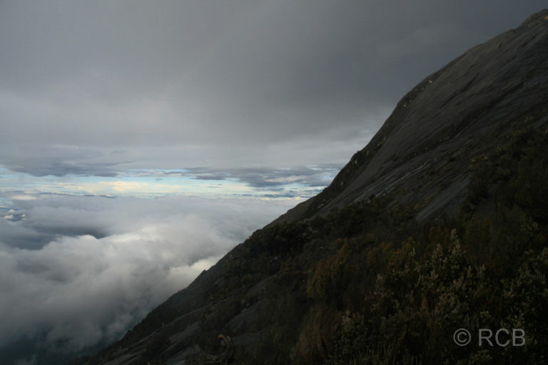 an den Hängen des Mt. Kinabalu