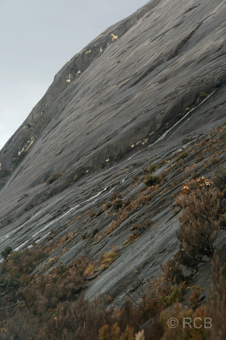 Granitwände des Mt. Kinabalu