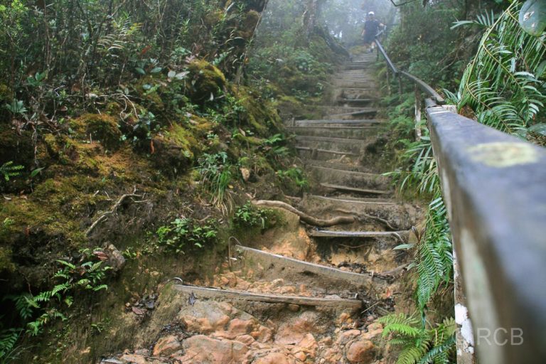 Treppenstufen beim Abstieg vom Mt. Kinabalu
