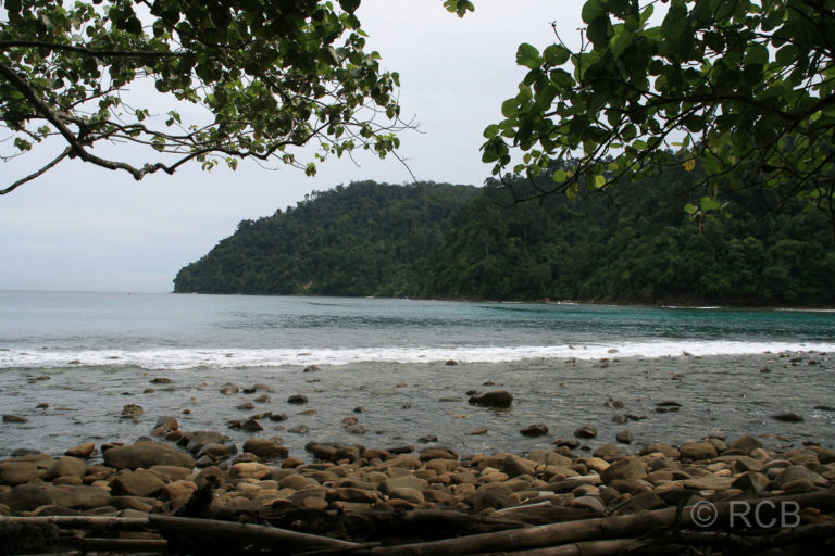 Küste auf Pulau Sapi