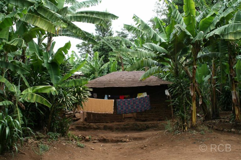 Hütte auf einem Spaziergang durch Marangu