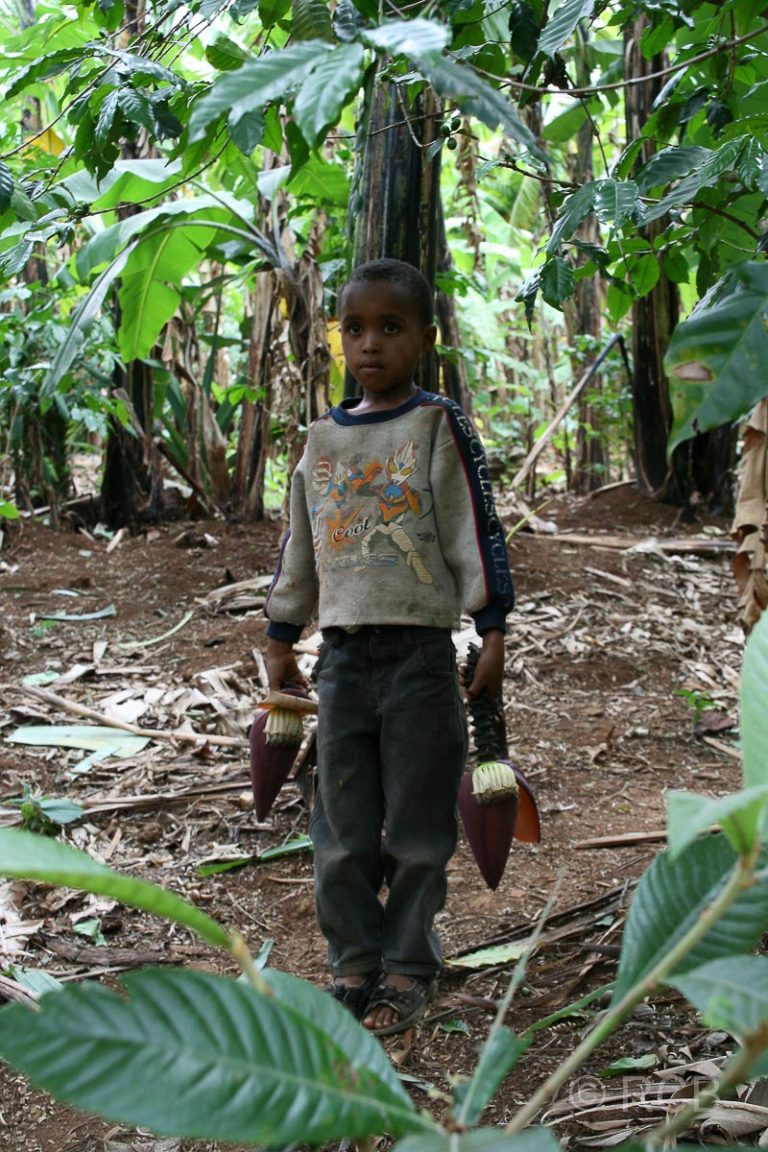 Junge mit Bananenblüten beim beim Spaziergang durch Marangu