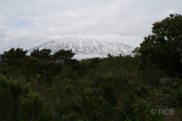 Kibo-Gipfel vom Sekimba Camp aus