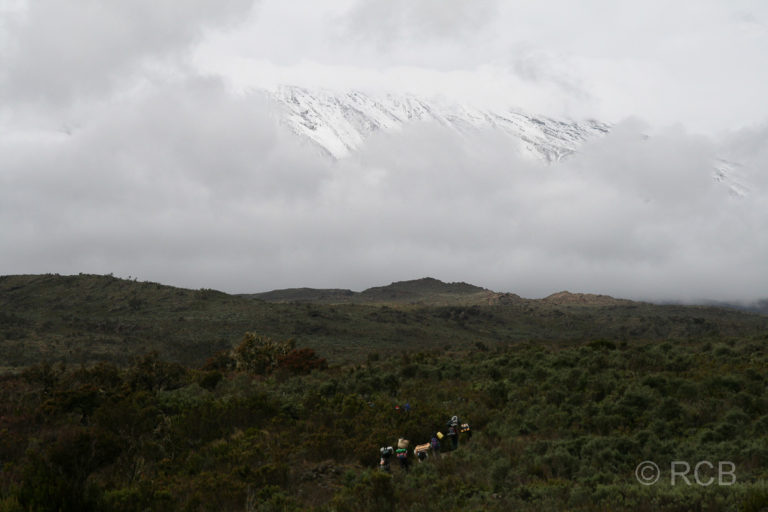 2. Etappe vom Sekimba Camp zum Kikelewa Camp, hinten der Kibo-Gipfel in Wolken