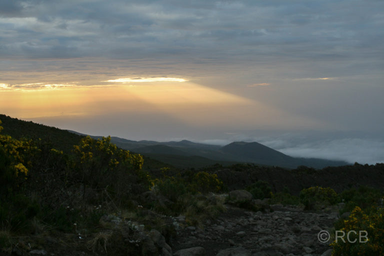 Sonnenaufgang an den Hängen des Kilimanjaro