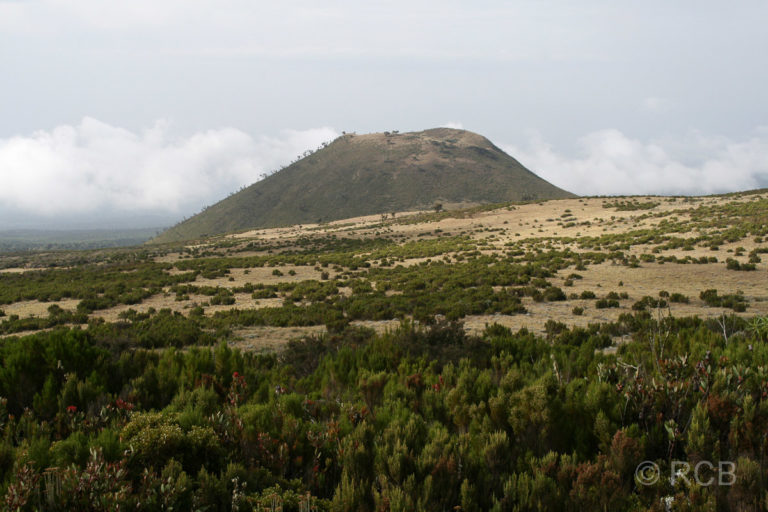 Nebenkrater auf der letzten Etappe der Kilimanjaro-Besteigung von den Horombo Huts zum Mandara Gate