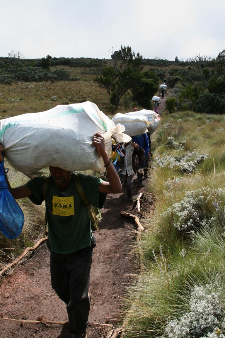 Gegenverkehr auf der letzten Etappe der Kilimanjaro-Besteigung von den Horombo Huts zum Mandara Gate