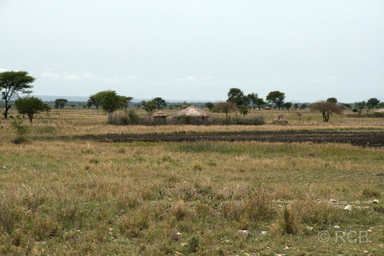 Hütten auf der Fahrt Richtung Arusha