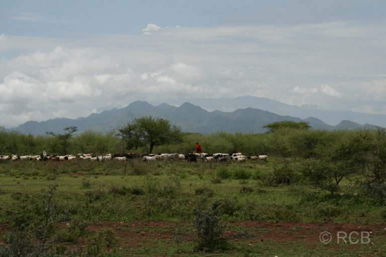Hirte im tansanischen Hochland