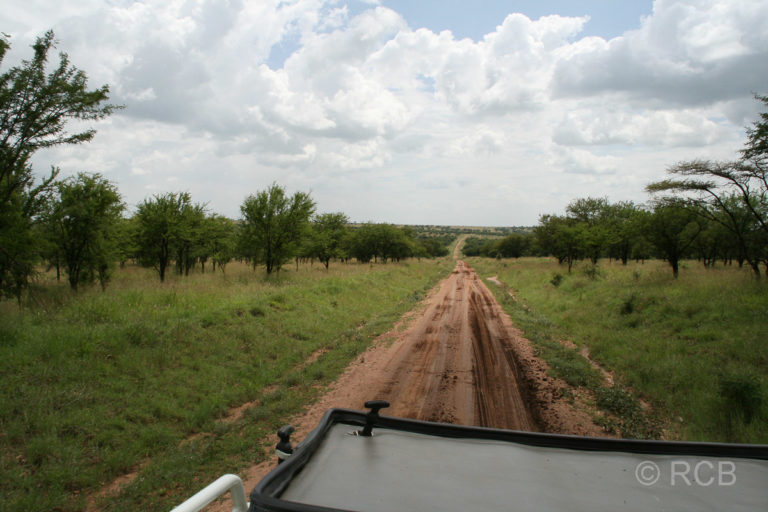 Fahrt durch die Serengeti Richtung Süden