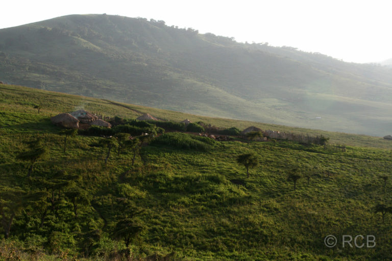 Massaidorf an den Hängen des Ngorongoro-Kraters