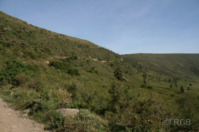 Straße in den Ngorongoro-Krater