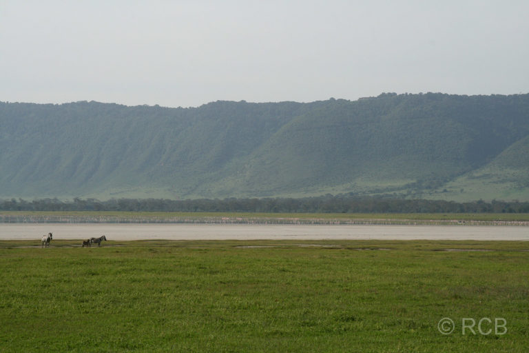 Lage Magadi im Ngorongoro-Krater