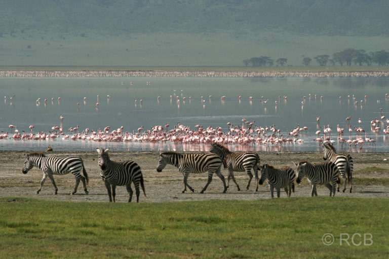 Lage Magadi im Ngorongoro-Krater