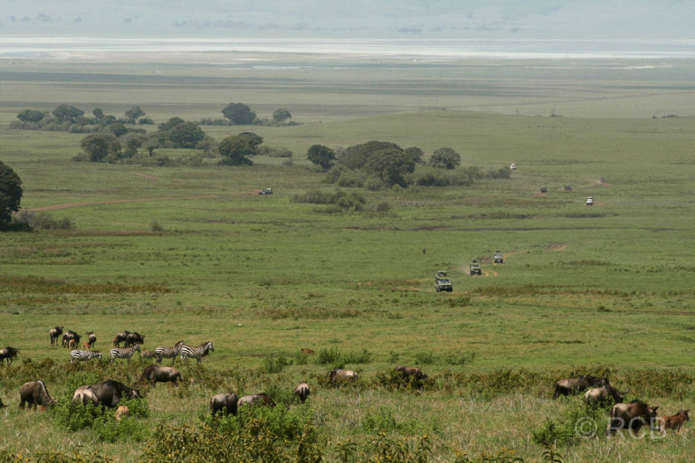 im Ngorongoro-Krater