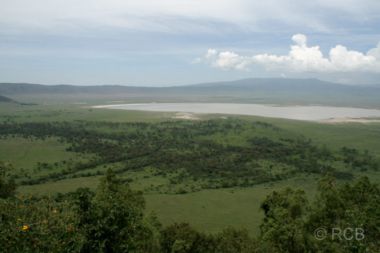 Rückblick in den Ngorongoro-Krater
