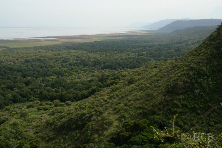 Blick auf den Lake Manyara