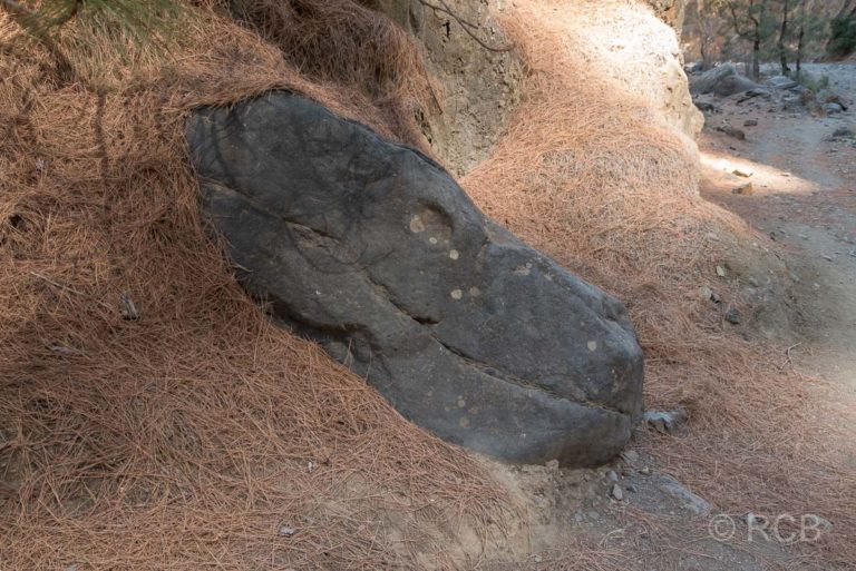 Fels in Form eines Drachenkopfs im Barranco del Limonero