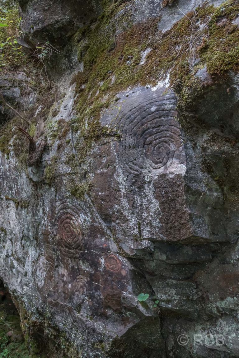 Petroglyphen im Parque Cultural La Zarza