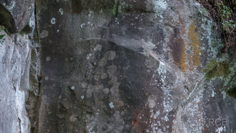 Petroglyphen im Parque Cultural La Zarza