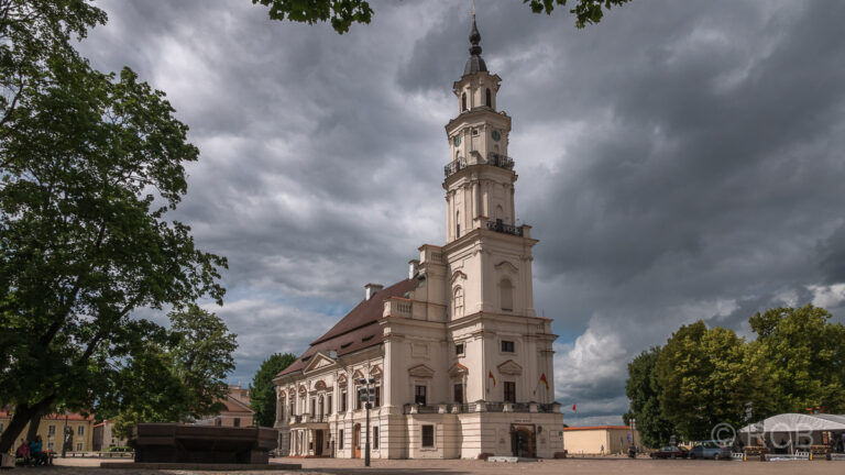 "Weißer Schwan" (ehemaliges Rathaus), Kaunas