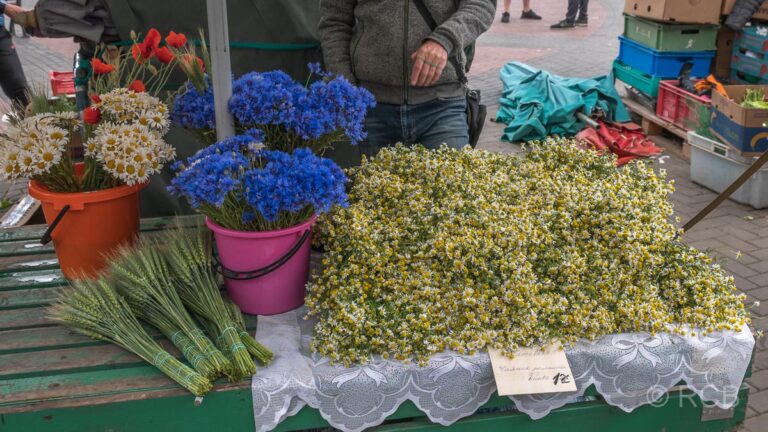 Blumenverkäufer bei den Markthallen