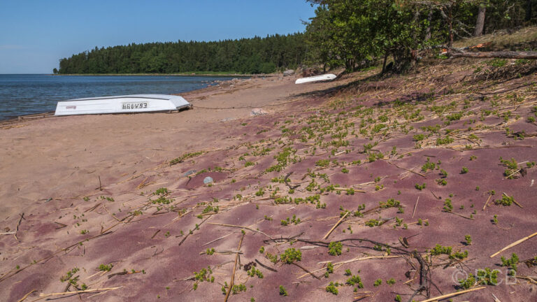 violetter Sandstrand, Käsmu-Halbinsel