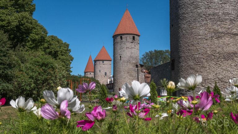Stadtmauer am Platz der Türme, Tallinn