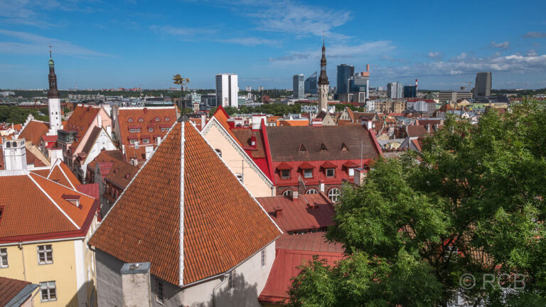 Blick vom Domberg Richtung Unterstadt mit Heiligenkreuzkirche und Rathaus