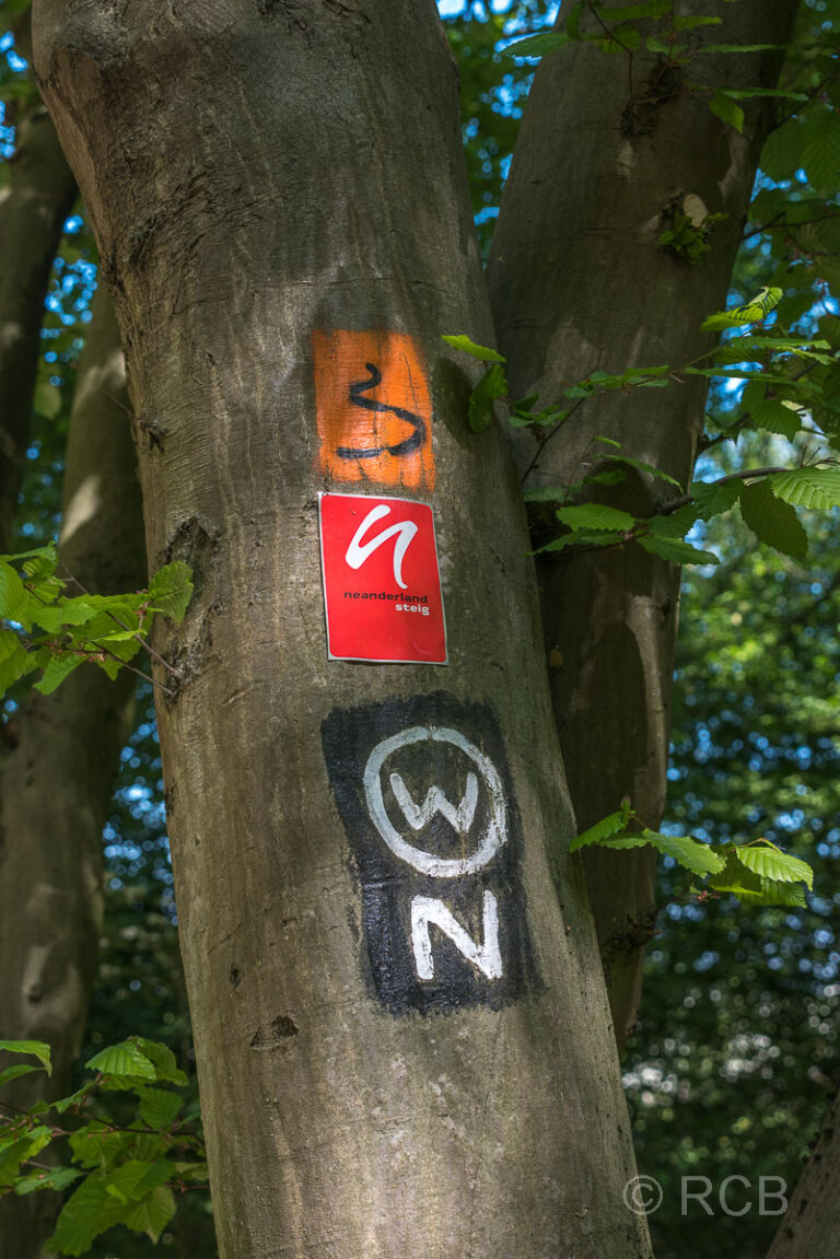 Schilder dreier Wanderwege: Bergischer Weg, Neanderlandsteig und Rundweg um Wuppertal