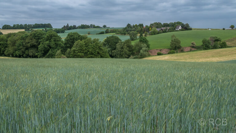 Felder bei Heiligenhaus