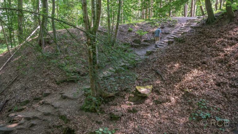 Treppe im Wald bei Schloss Landsberg