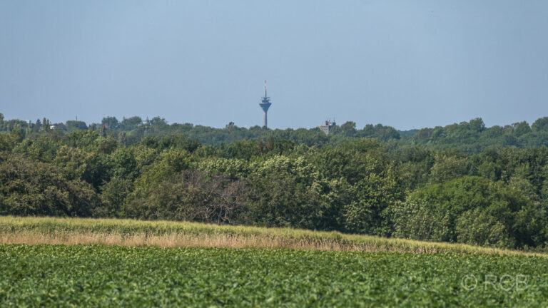 Blick zum Düsseldorfer Fernsehturm