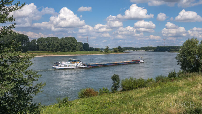 der Rhein bei Monheim