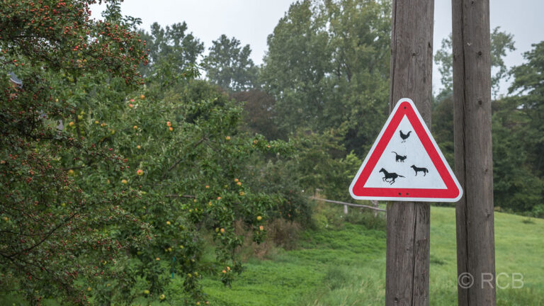 Apfelbaum und Warnschild vor kreuzenden Tieren auf der Straße