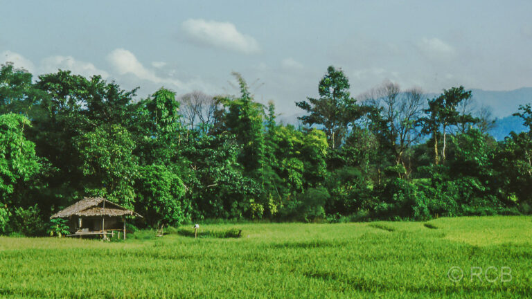 Landschaft im Grenzgebiet zum Nachbarland Myanmar