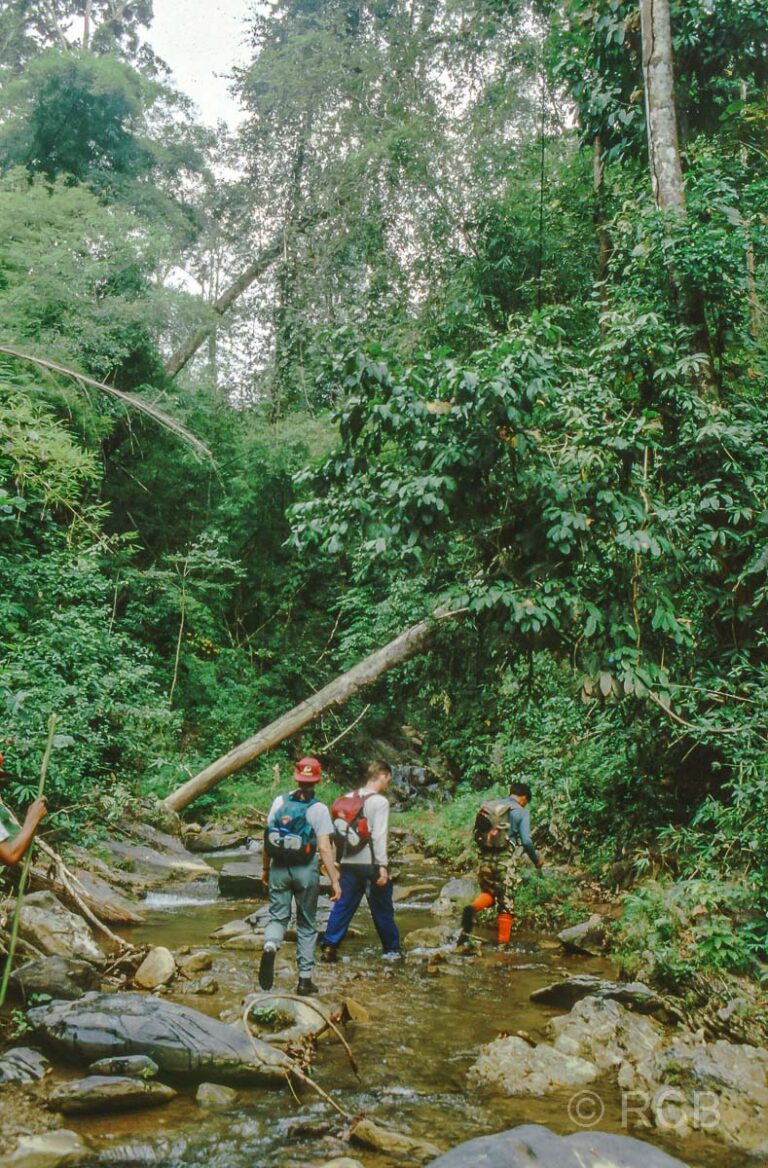 Trekkingtour im Dschungel bei Mae Hong Son