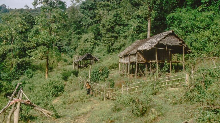 Karen-Dorf im Dschungel an der Grenze zu Myanmar