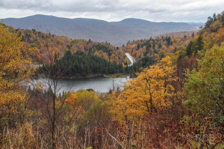Fall Foliage am Appalachian Gap
